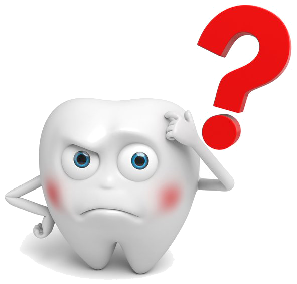 Sıkça Sorulan Sorular